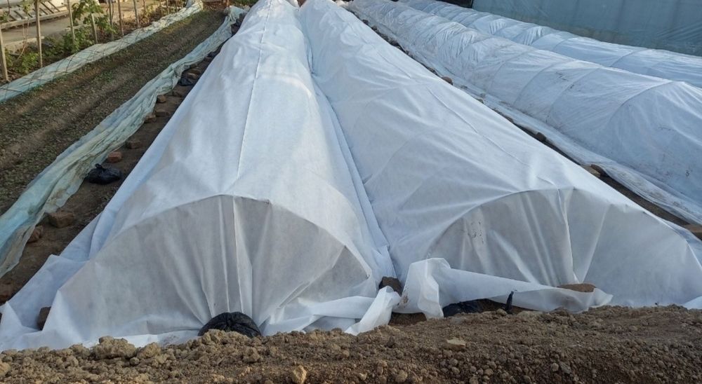 Агроволокно ишлаб чикарамиз