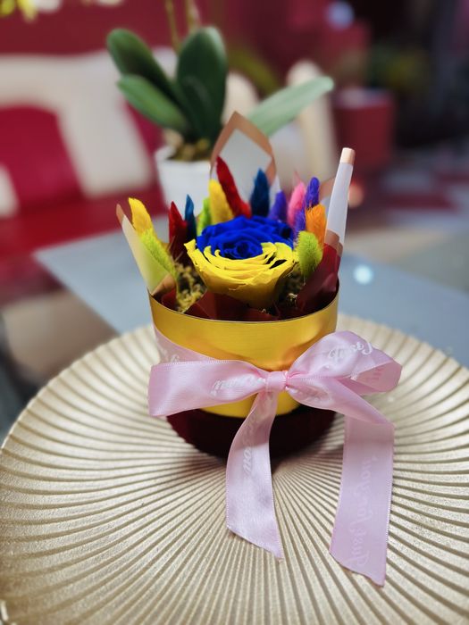 Trabdafir criogenat cu lagurus