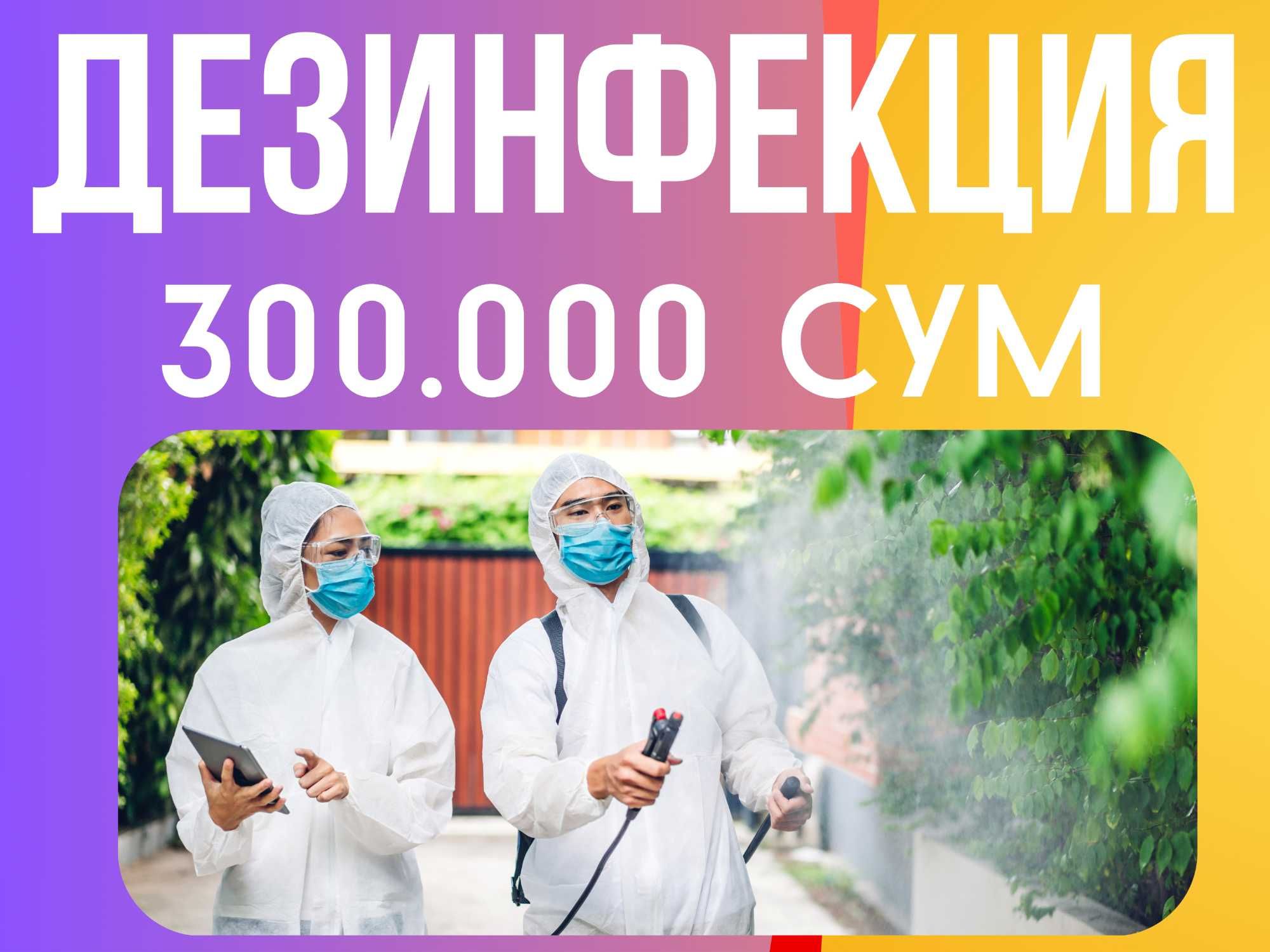 Дезинфекция насекомых тараканов и клопов дезинфекция клапа уничтожение