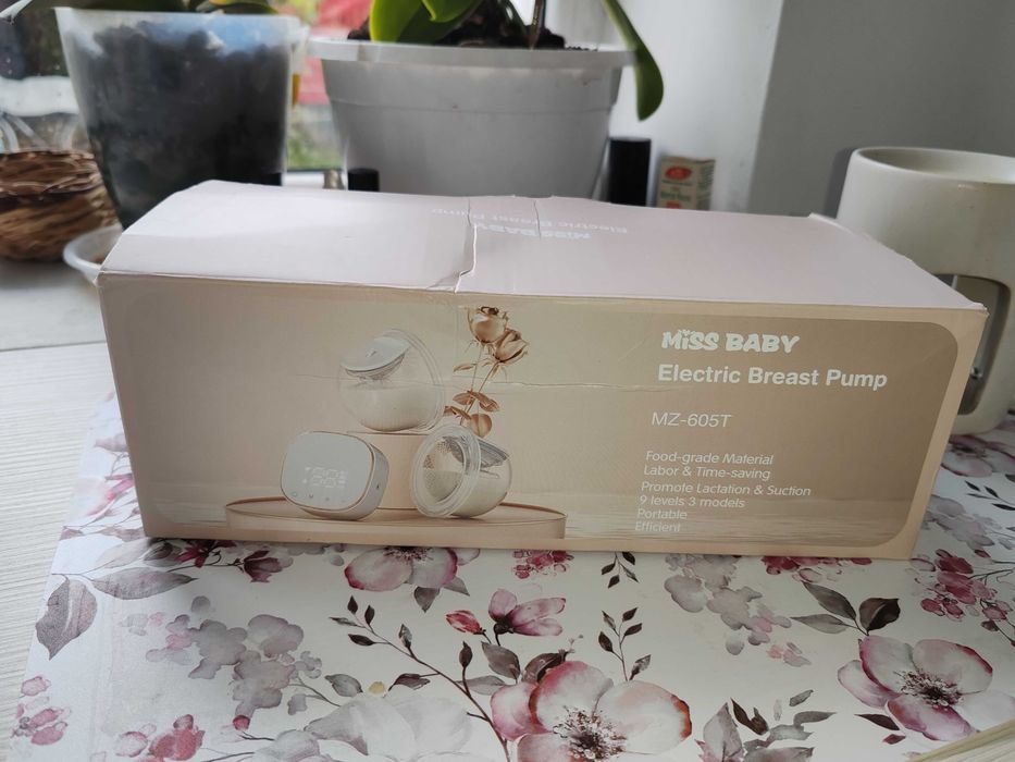 Pompa de san baby ono