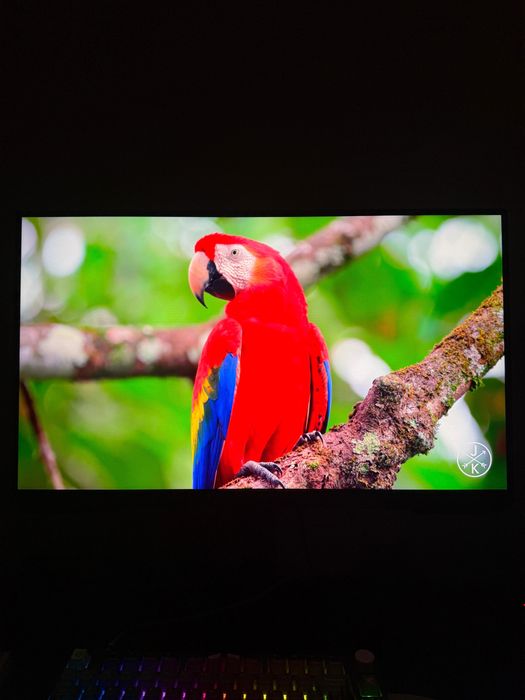 Monitor Gaming LED VA Samsung Odyssey G5, 165 Hz