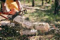 Taiat lemne cosit iarba/defrisat terenuri cu motocoasa gauri cu foreza