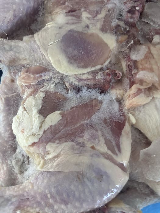 Окорачка  тауық еті құс еті курица