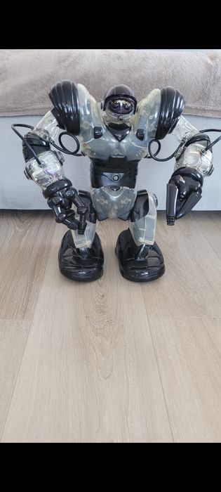 Robot interactiv