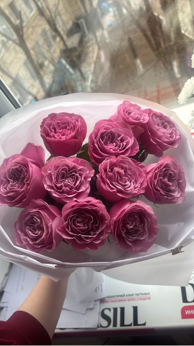 Роза цветы 11шт