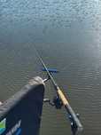 Vand combo feeder