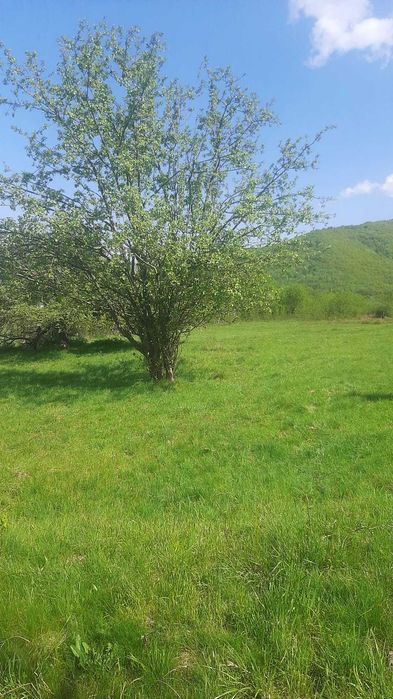 Vand teren zona Sibiel-Marginimea Sibiului