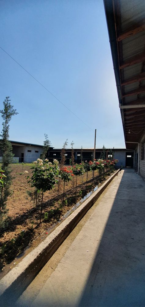 Ferma Sotilad 26,5 sotix
