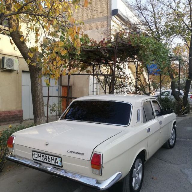 Volga 24 10 Horatio yahshi