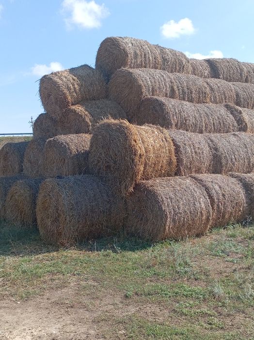 Продаётся солома