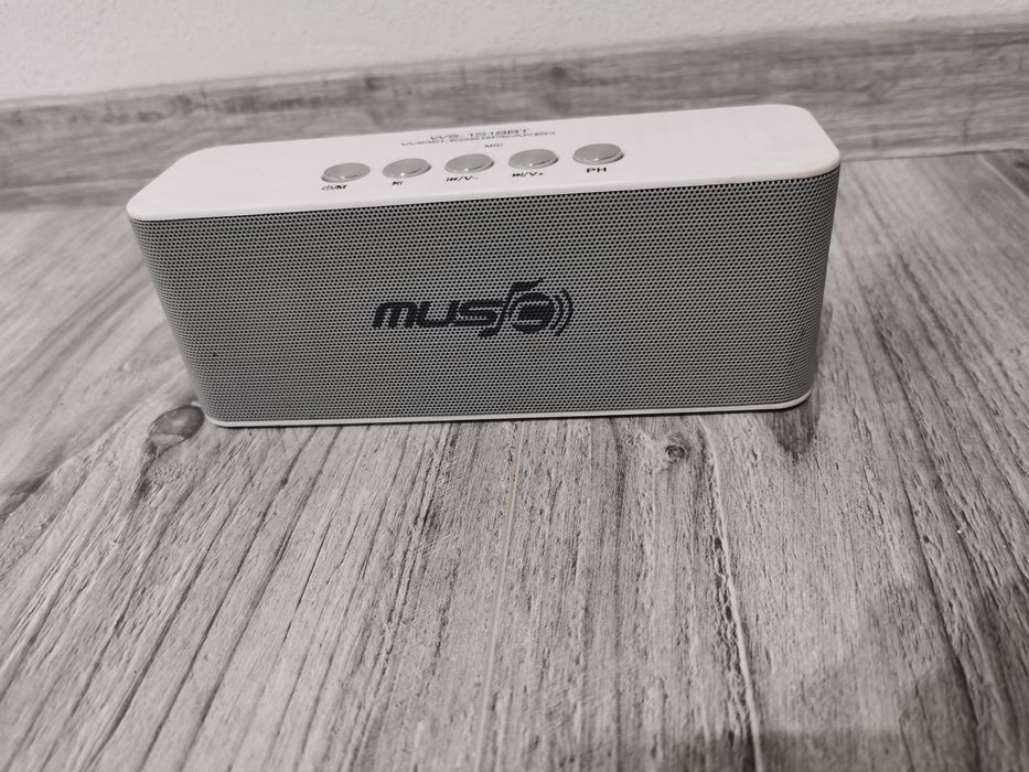 Boxa Wireless WS-1519BT