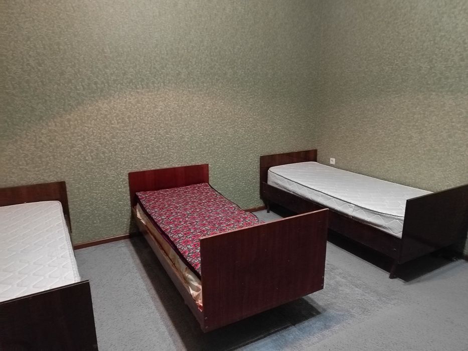 Кв толка женский рода. Окола алфраганус институт дом акуратний чистий