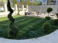 Vand/montez Gazon rulou natural