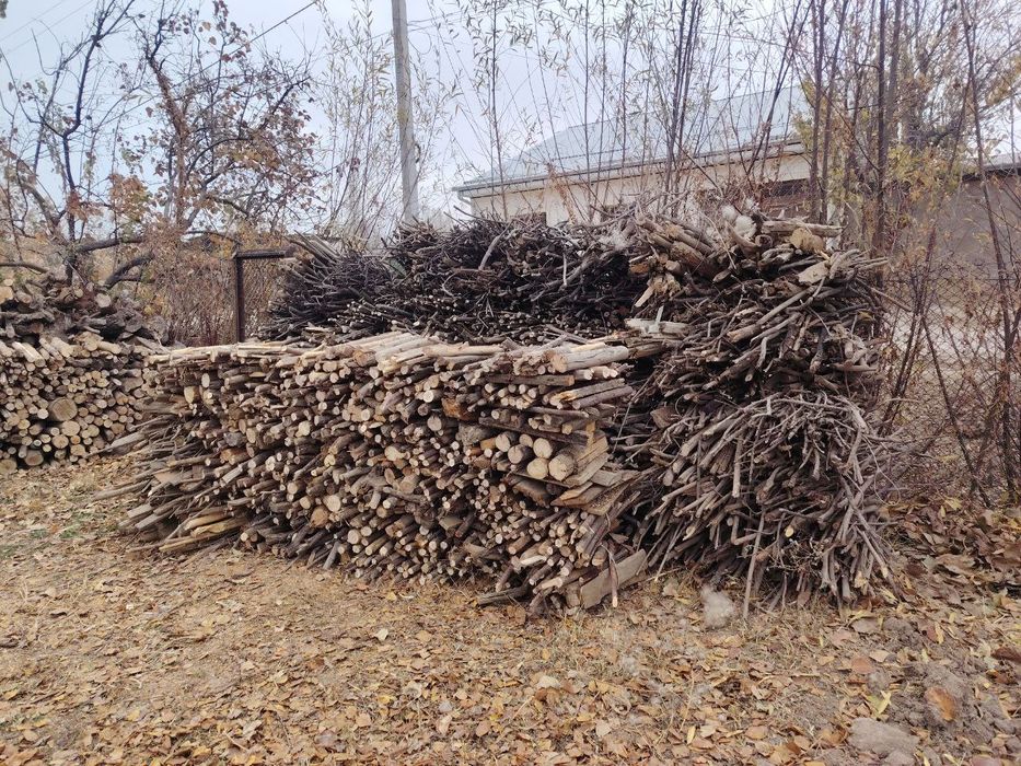 Утин сотилади хаммаси