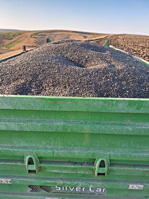 Porumb graunte, Floarea soarelui