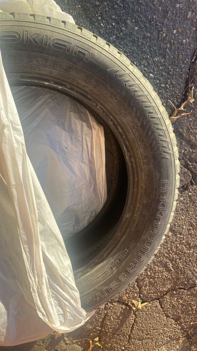 Автошины зимние шипованные