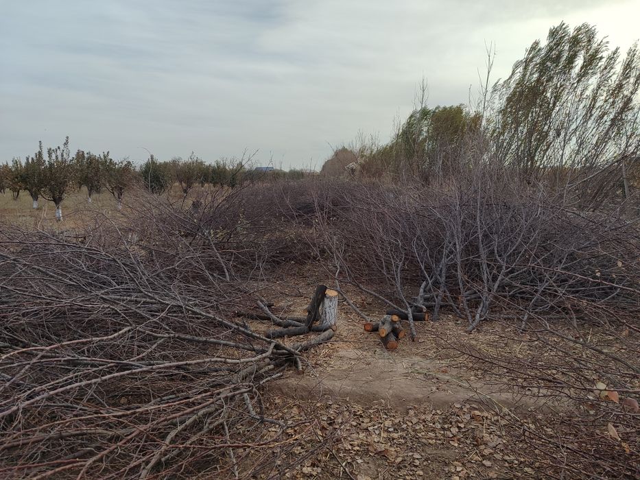 Ōtin sotiladi kelishilgan narxda