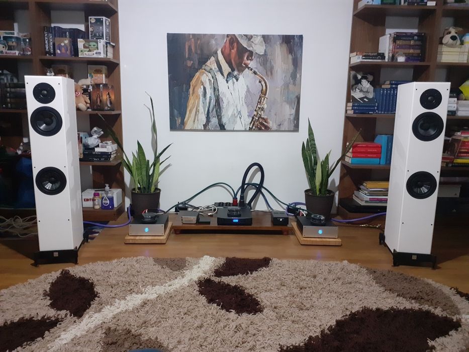 Vand amplificatoare clasa D