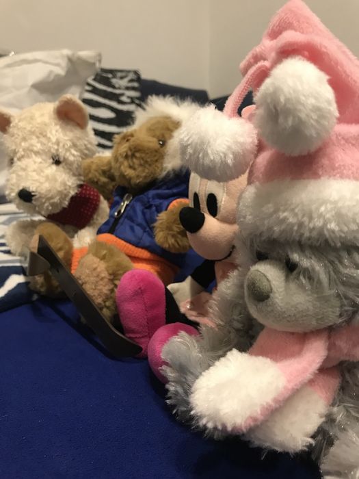 Jucarie cu sunete, noua.