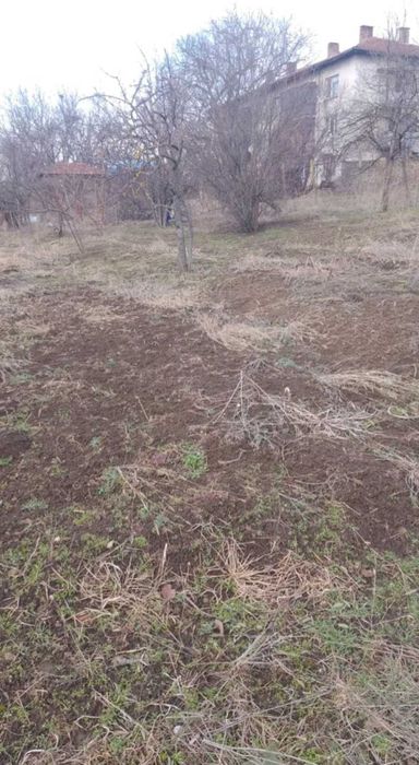 Парцел в регулация в село Леденик