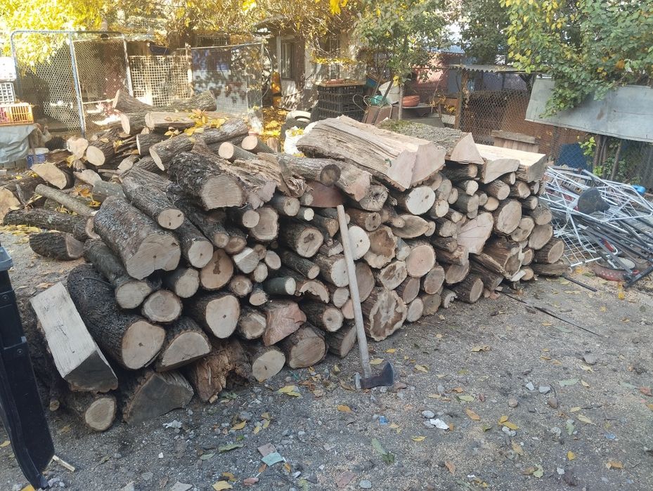 Vând lemne esnta tare