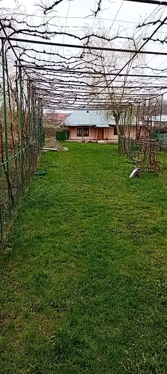 Vând teren în comuna Podoleni jud Neamț  intravilan