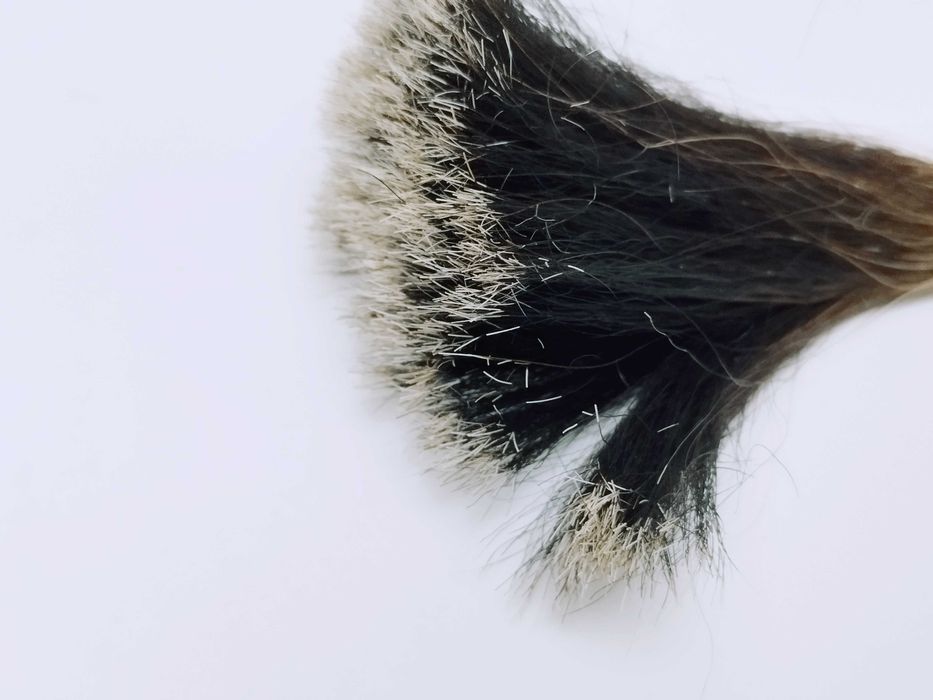 Panas Accesoriu palarie Vanator , par porc de mistret