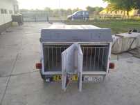Remorca transport căini