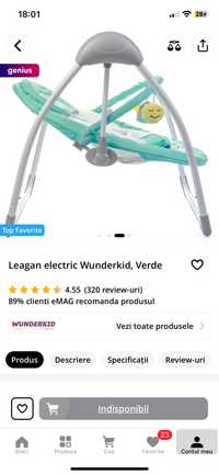 Leagan/balansoar electric bebe wunderkid