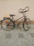 Biciclete de dama și bărbați