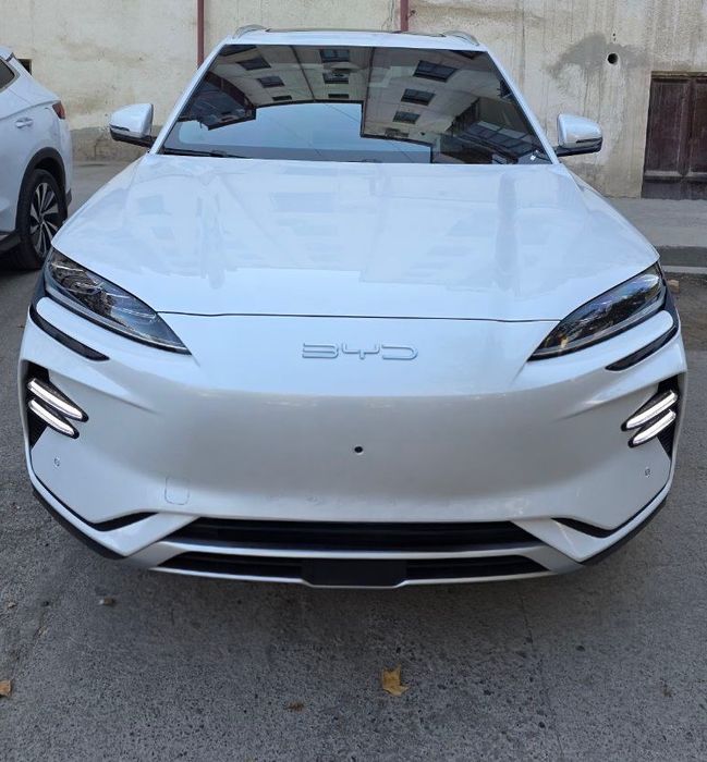 BYD Champion 605 год 2023 декабр