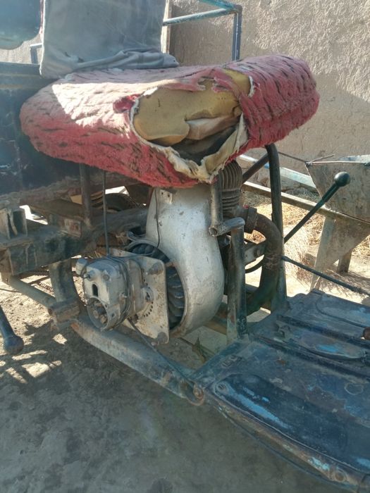 Муравей СССР российской