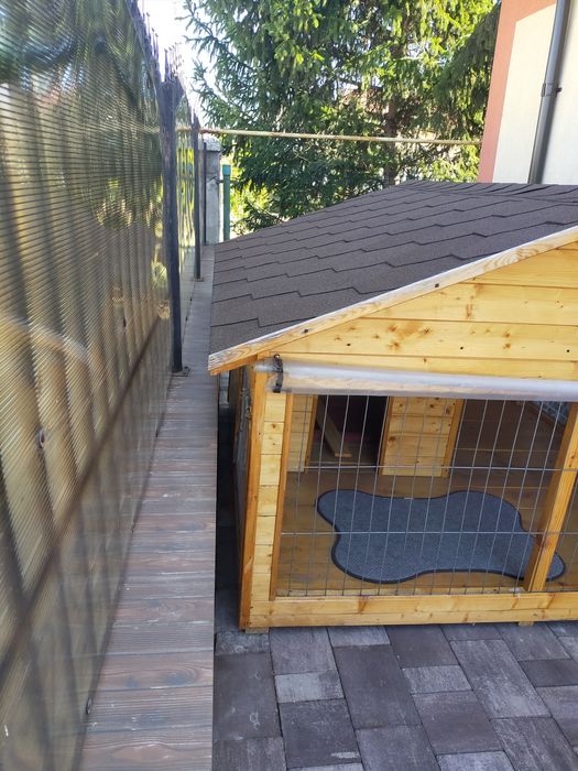 Cotet caine cu terasa