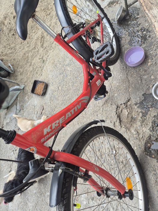 Bicicleta Kreativ special