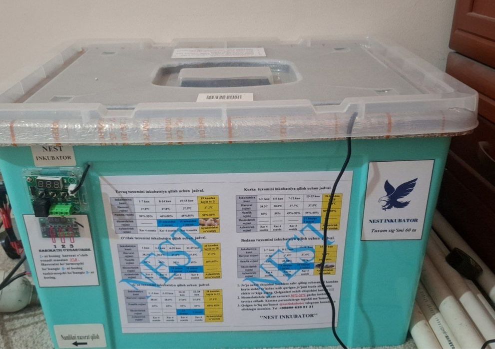 Inkubator 60 talik