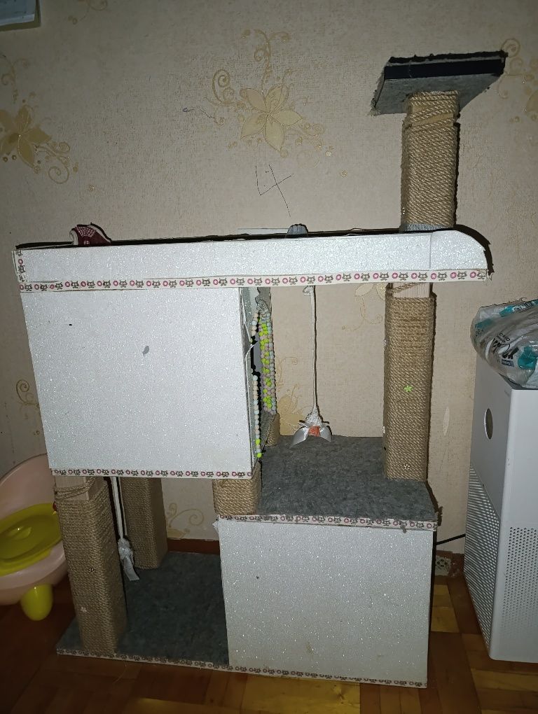 СРОЧНО продам котенка