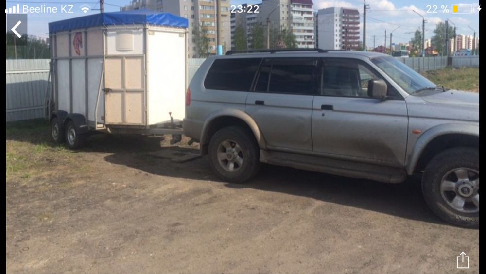 Лошади перевезу по области