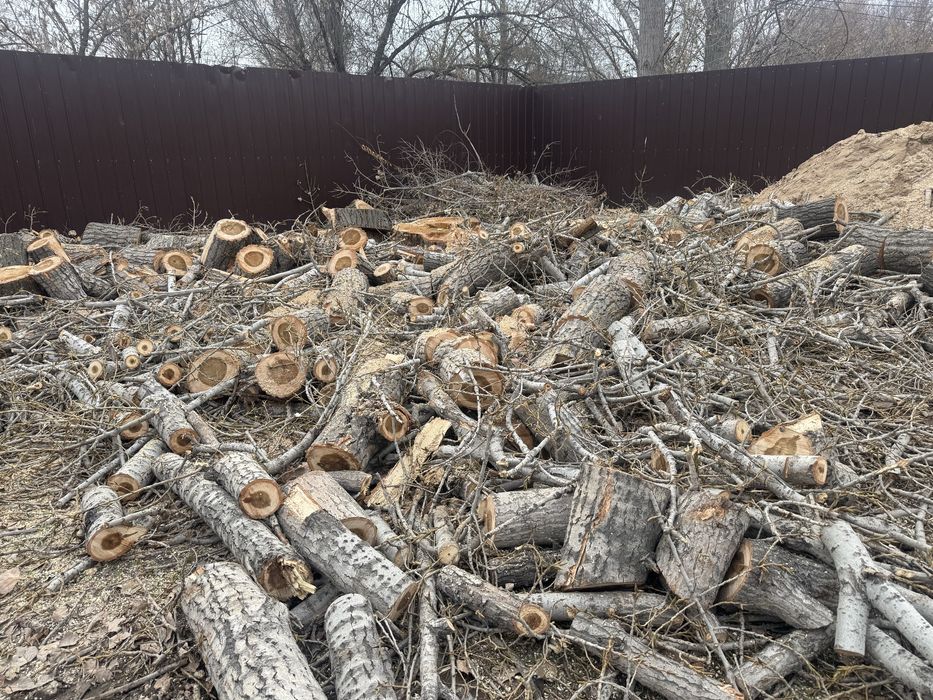 Дрова, бесплатно