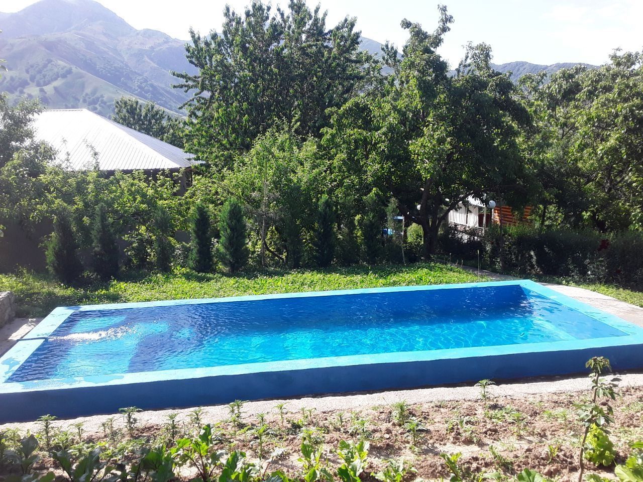 Sijjak Dacha 800000 soʻm