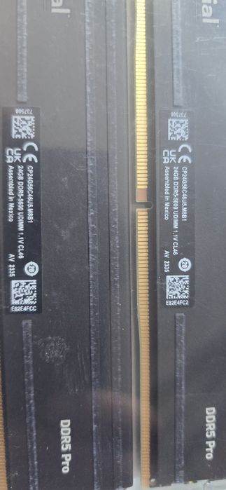 Ram Crucial Pro 48GB (2x24GB) DDR5 5600MHz CP2K24G56C46U5