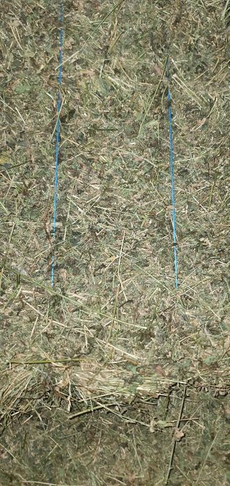 Baloti de lucerna , lucerna baloti , balotii de luterna, baloti lucern