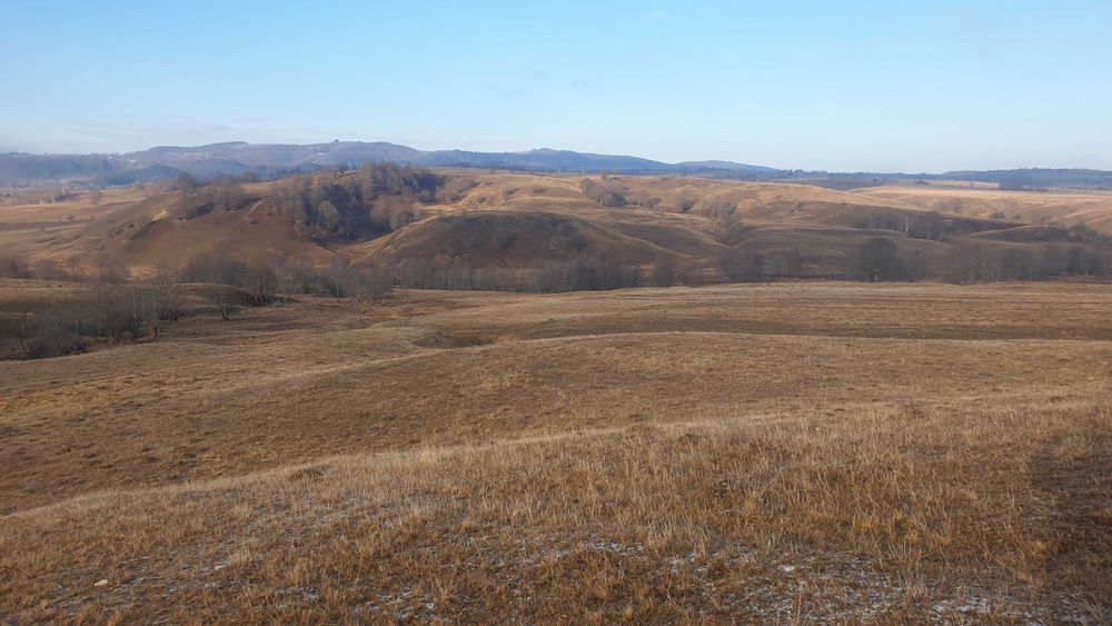 De vanzare teren extravilan in comuna Ciucea ,jud.Cluj