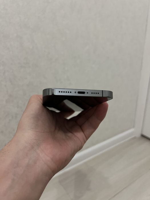 iphone 13 pro max dual sim