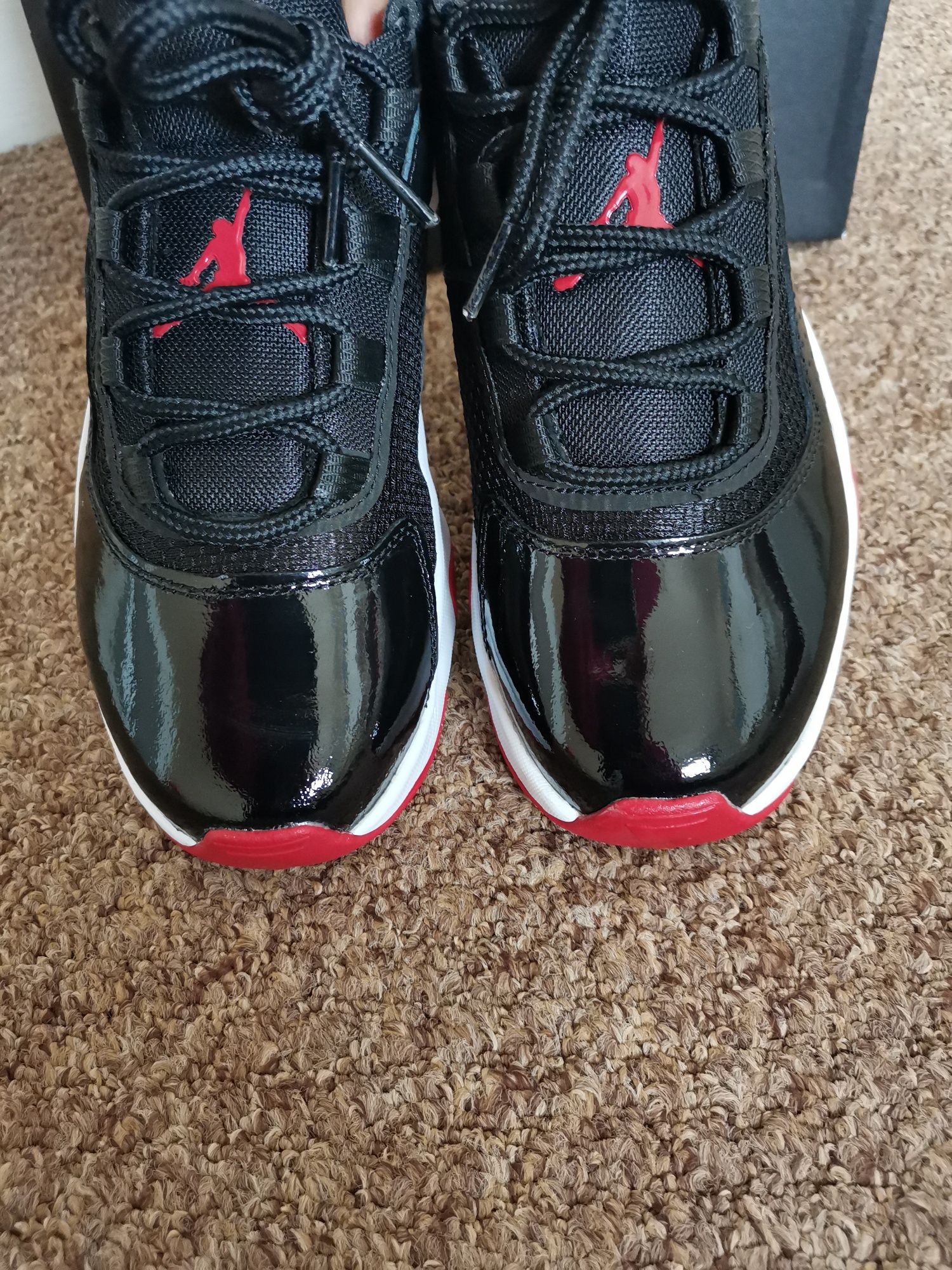 Air Jordan 11 low