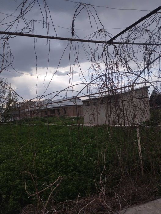 2 sotix parnik issiqxona