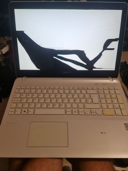 Componente sony vaio orice piesa