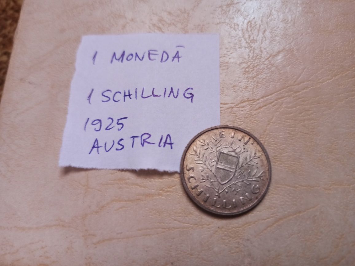 Moneda 1 schilling Austria 1925