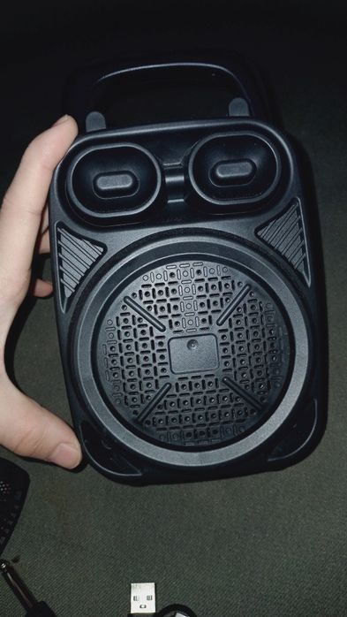 Микрофон и таэпси шнур в подарок.