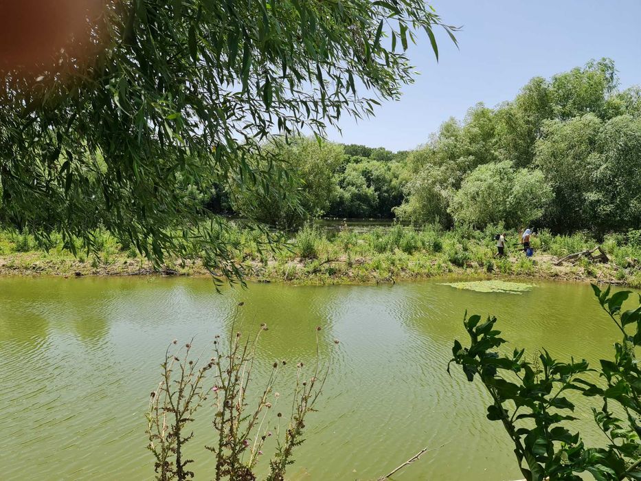 Delta Dunării, Băltenii de Jos, casă bătrânească, teren 1500mp