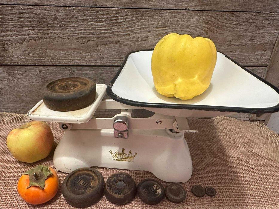 Винтидж кухненска везна